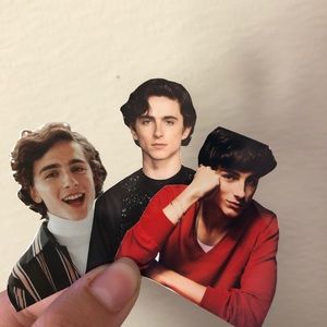 Timothée Chalamet stickers